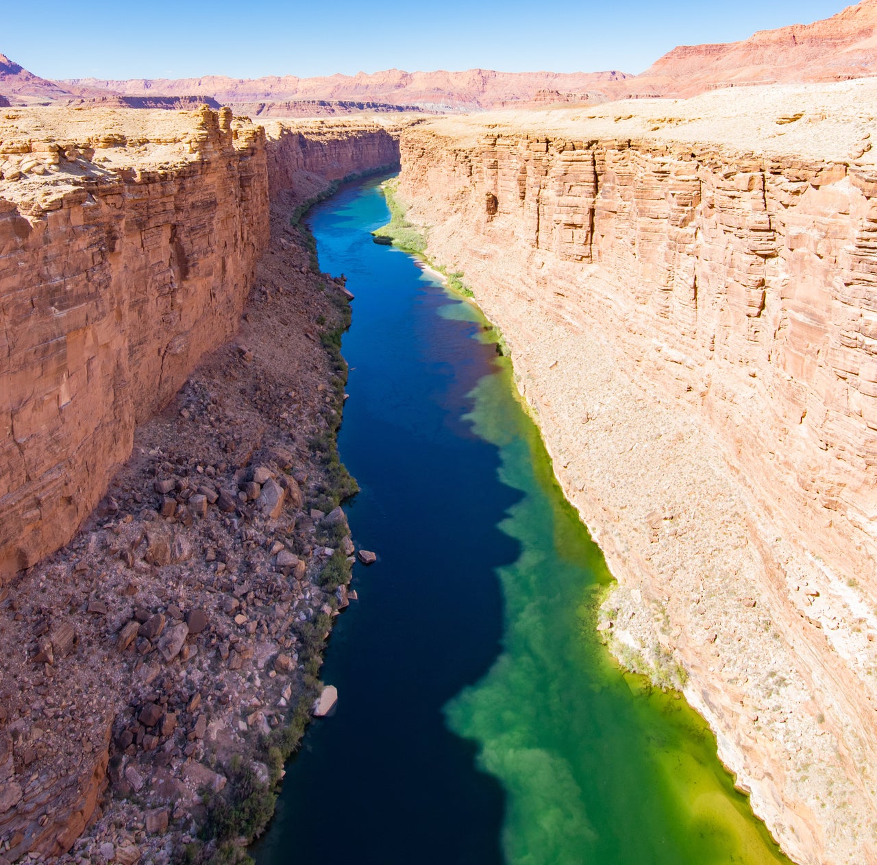 An algae bloom in the Colorado River above the Grand Canyon.