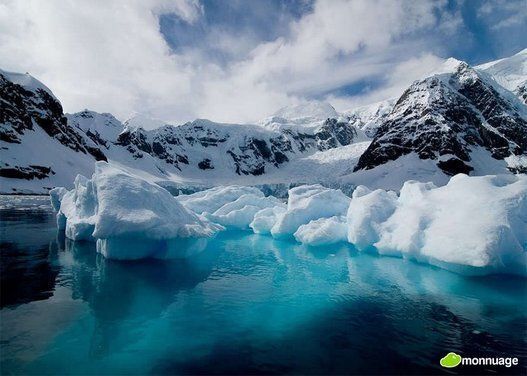 Antarctique (Argentine, Australie, Chili, France, N-Zélande, Norvège et R-Uni)