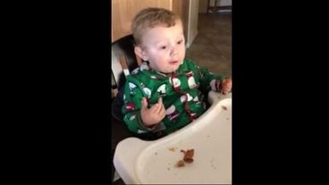 Bebe Mange Du Bacon