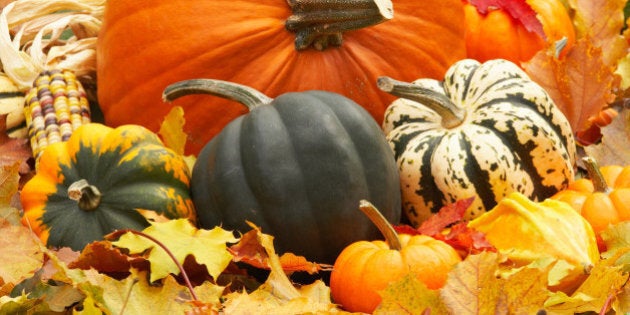 Harvest still life with pumpkins and squash