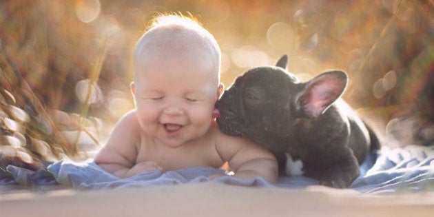 Les Cliches Beaucoup Trop Mignons D Un Bebe Et Son Bouledogue Francais Photos Huffpost Quebec Vivre