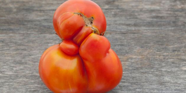 Misshapen heirloom tomato on weathered wood background.