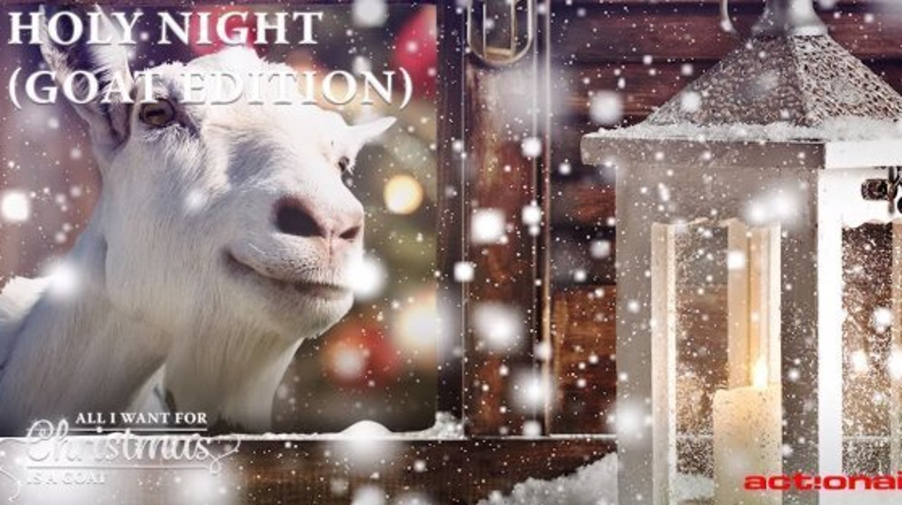 Qui A Inventé La Fête De Noël Des chèvres chantent Noël (VIDÉOS) | HuffPost Québec Divertissement