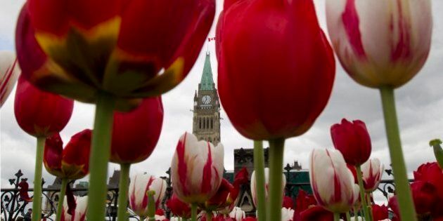 The Peace Tower is framed by tulips on Parliament Hill in Ottawa Thursday May 17, 2012. (AP Photo/The Canadian Press, Adrian Wyld)