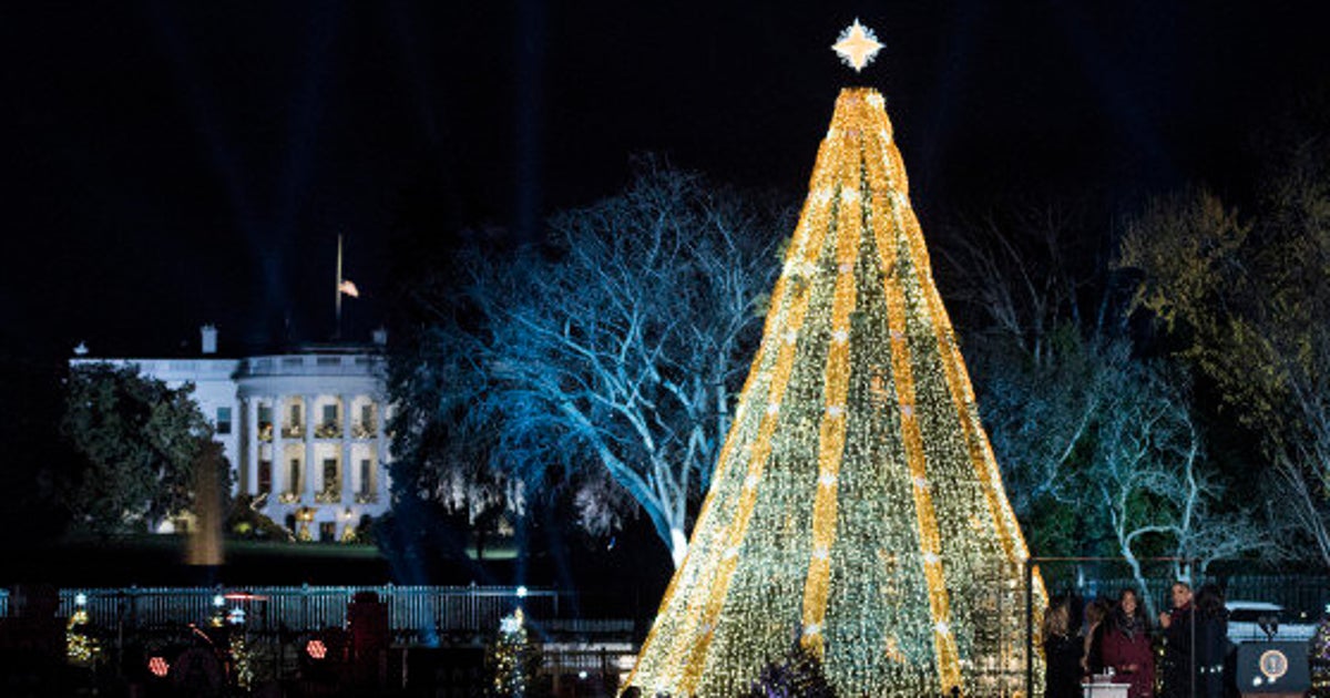 Les plus beaux sapins de Noël de 2015 partout dans le monde (PHOTOS