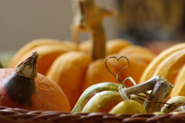 L'astuce géniale pour éplucher un butternut sans effort (et sans risquer de  perdre ses doigts) : Femme Actuelle Le MAG