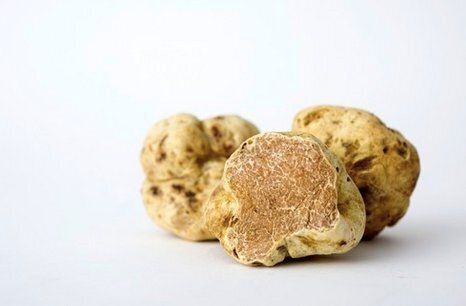 Des truffes italiennes - 175$