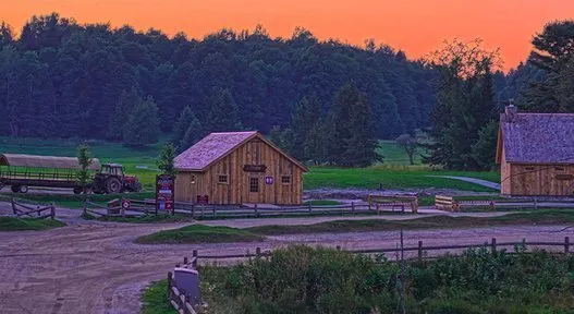 Le Parc Omega incursion au c ur de la vie de nos animaux sauvages