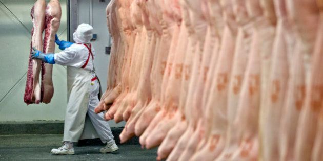 A worker handles animal carcasses at the Doly-Com abattoir, one of the two units checked by Romanian authorities in the horse meat scandal, in the village of Roma, northern Romania, Tuesday, Feb. 12, 2013. On Monday, Romanian officials scrambled to defend two plants implicated in the scandal, saying the meat was properly declared and any fraud was committed elsewhere. (AP Photo/Vadim Ghirda)
