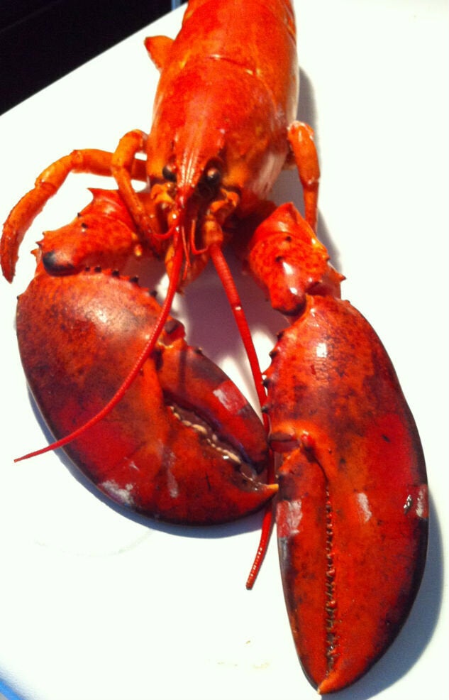 Recette bisque de homard en 5 étapes faciles HuffPost Vivre