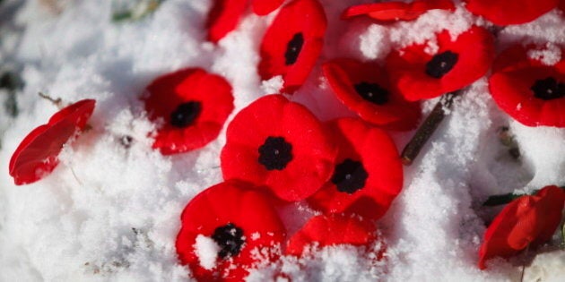 Poppies lay in the snow placed at the base of a cross for the Unknown Soldier at Remembrance Day ceremony in Calgary, Alta., Monday, Nov. 11, 2013.THE CANADIAN PRESS/Jeff McIntosh