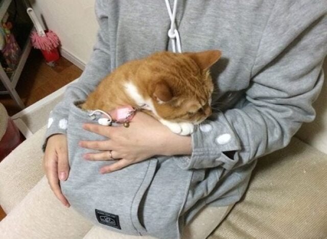 Video Mewgaroo Le Chandail Japonais Pour Porter Son Animal Contre Soi Comme Un Kangourou Huffpost Quebec Vivre Video Mewgaroo Le Chandail Japonais Pour Porter Son Animal Contre Soi Comme Un Kangourou Huffpost Quebec Vivre