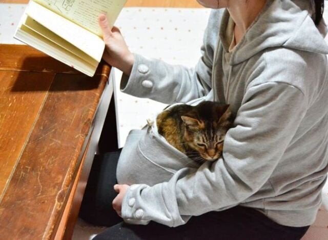 Video Mewgaroo Le Chandail Japonais Pour Porter Son Animal Contre Soi Comme Un Kangourou Huffpost Quebec Vivre Video Mewgaroo Le Chandail Japonais Pour Porter Son Animal Contre Soi Comme Un Kangourou Huffpost Quebec Vivre