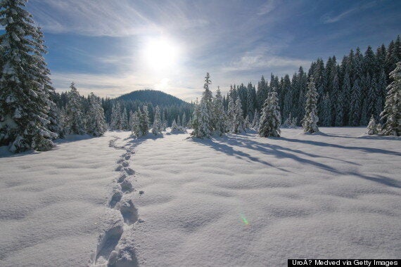 7 façons dont la neige nous rend plus heureux