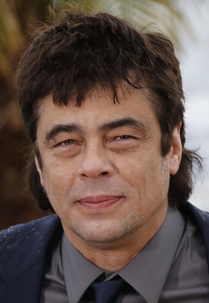 Benicio Del Toro ("Guardians of the Galaxy")