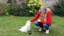 Garder des animaux est avant tout un