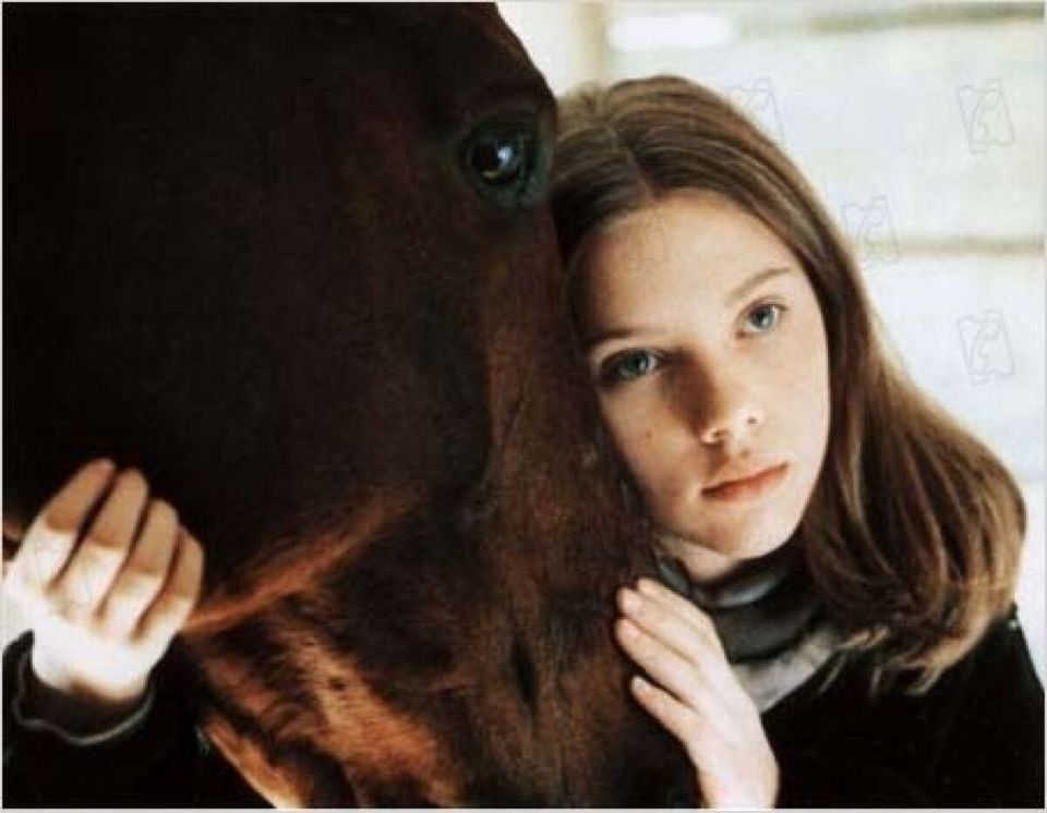 L'homme qui murmurait à l'oreille des chevaux, 1998
