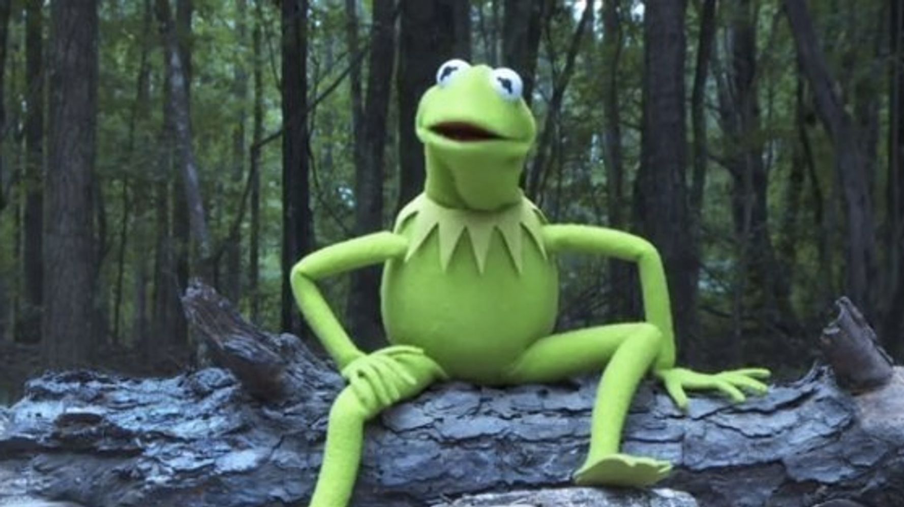 Même Kermit la Grenouille s'est mis au Ice bucket challenge