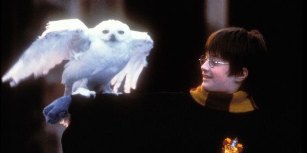 Daniel Radcliffe dans le rôle de Harry Potter dans «Harry Potter à l'école des sorciers».