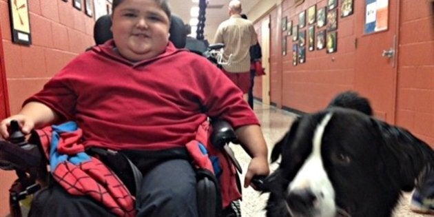 Un chien Mira à l'école secondaire ValMauricie de