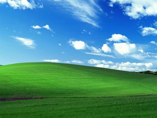 La colline verdoyante de Windows XP