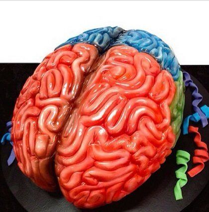Un cerveau en guise de dessert