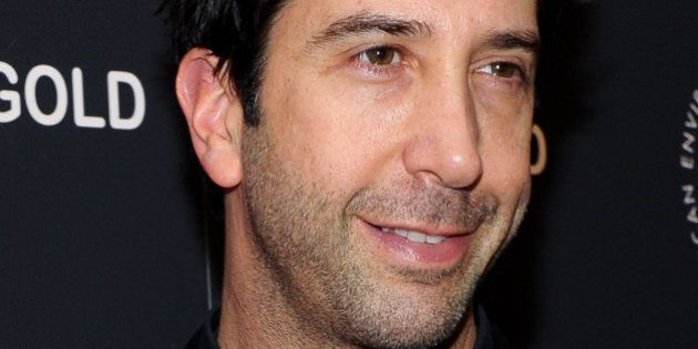 NEW YORK, NY - NOVEMBER 12: Actor David Schwimmer attends a special screening of 'White Gold' at Museum of Modern Art on November 12, 2013 in New York City. (Photo by Rommel Demano/Getty Images)