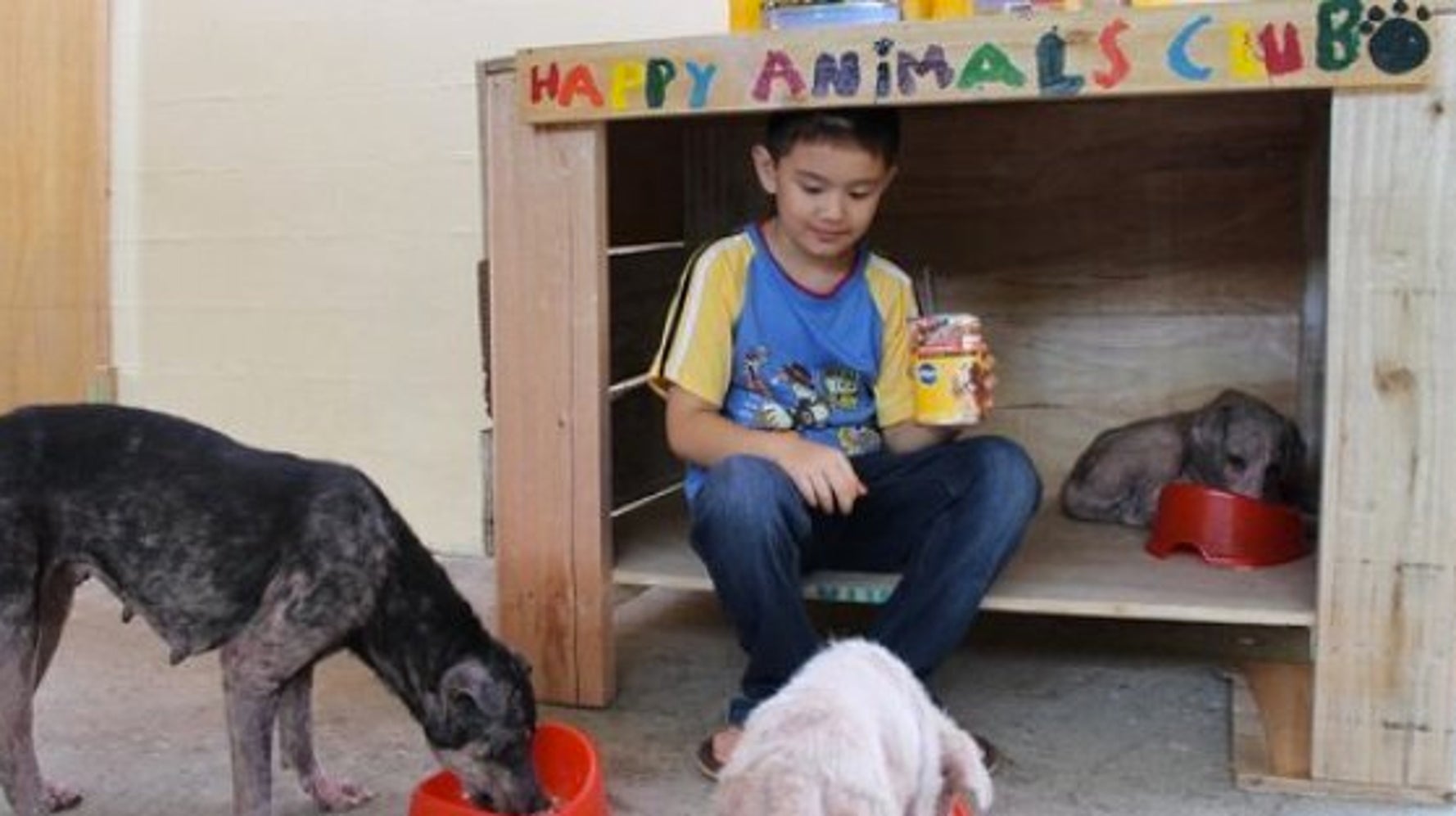 Ce garcon de 9 ans a construit un charmant refuge pour