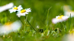 Détox de printemps: 11 conseils pour se sentir mieux dans son