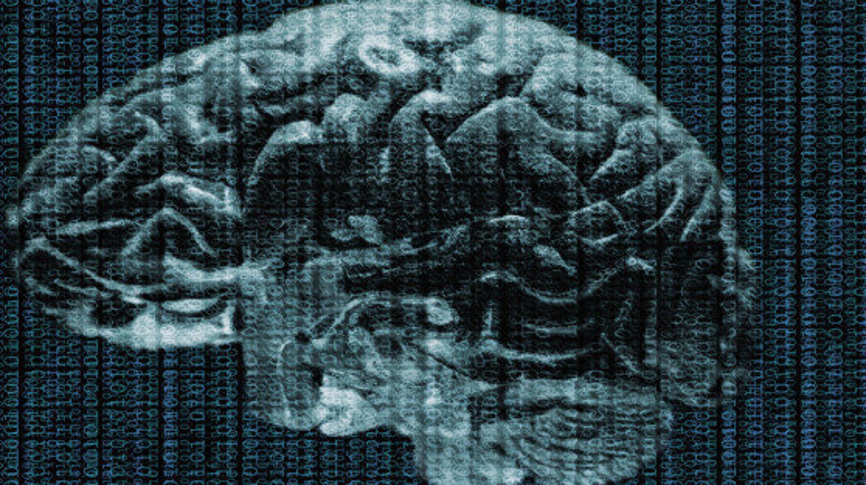 Étude sur le cerveau des scientifiques découvrent une