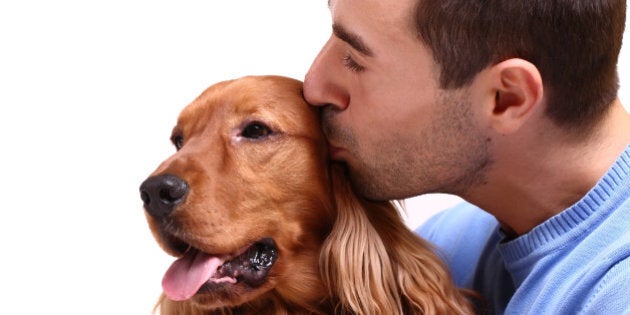 handsome man with dog over...