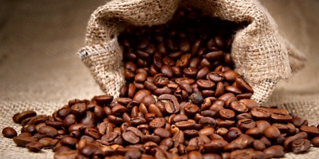 studio shot of coffee beans in...