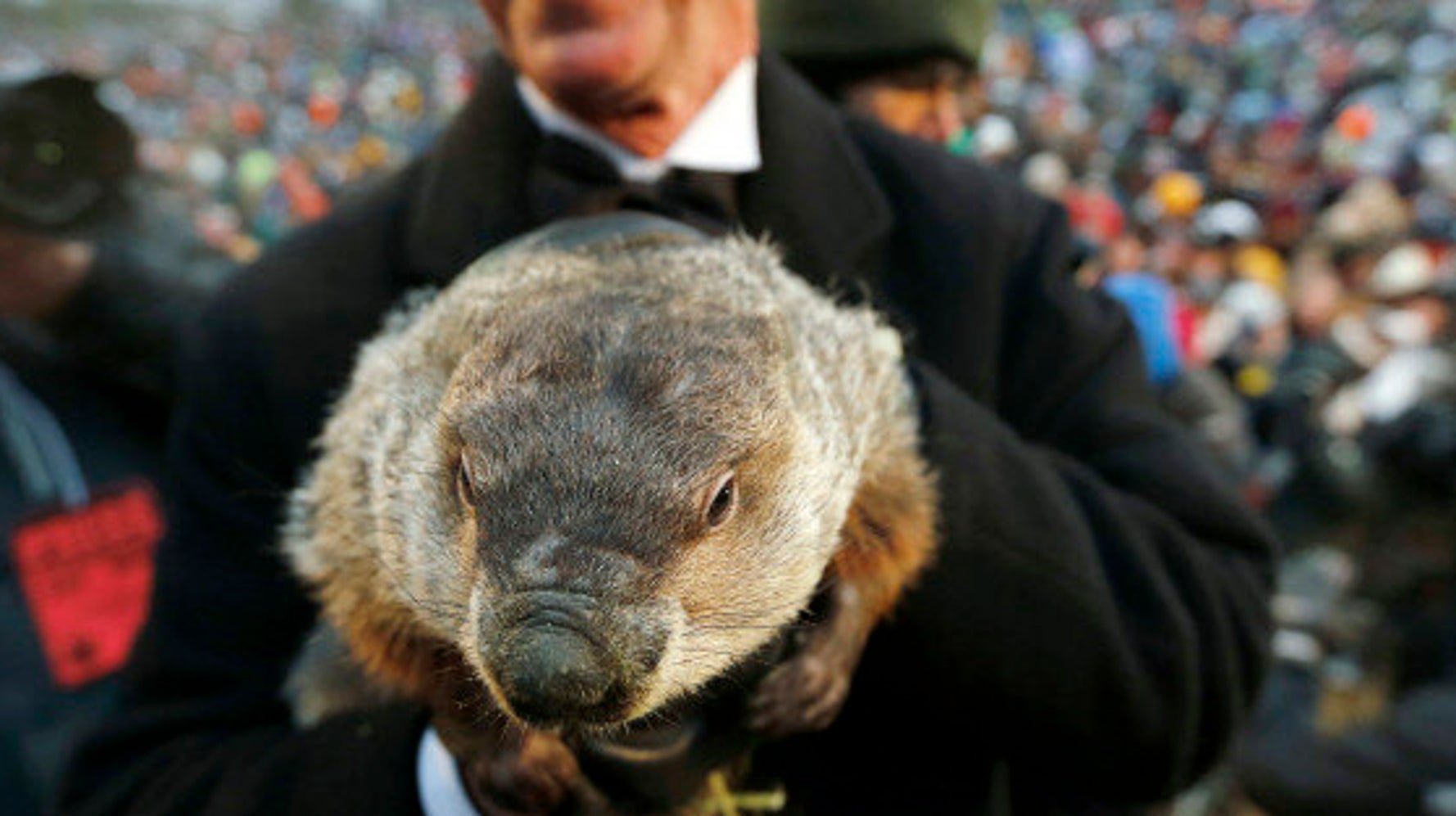Le Jour De La Marmotte Streaming Jour de la marmotte: l'histoire d'une tradition et de ses célèbres