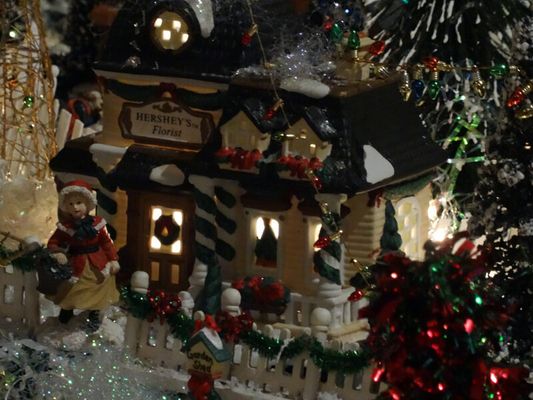 Découvrez ce village de Noël miniature exceptionnel (PHOTOS)