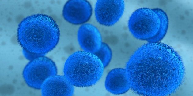 Detailed Image of Stem Cells