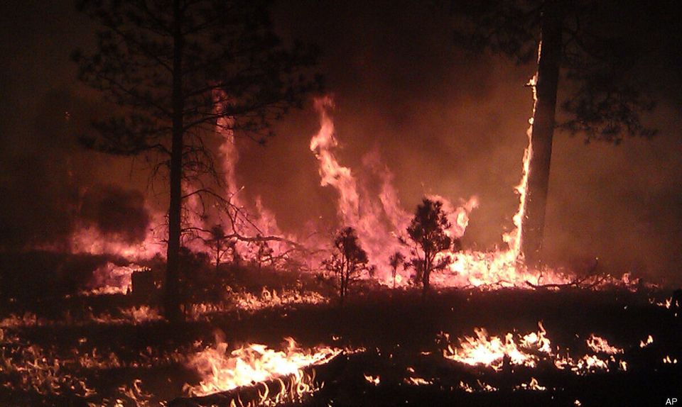 Gila National Forest Fire