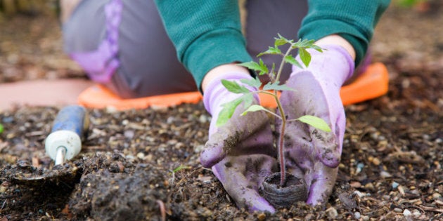 Gardening