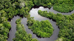 Peut-on à la fois conserver les forêts tropicales et lutter contre la