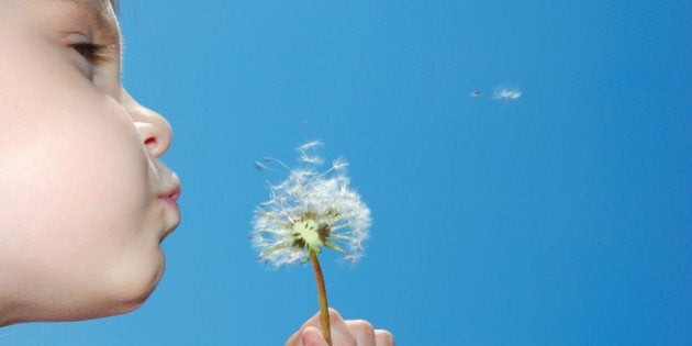 child blowing away dandelion...