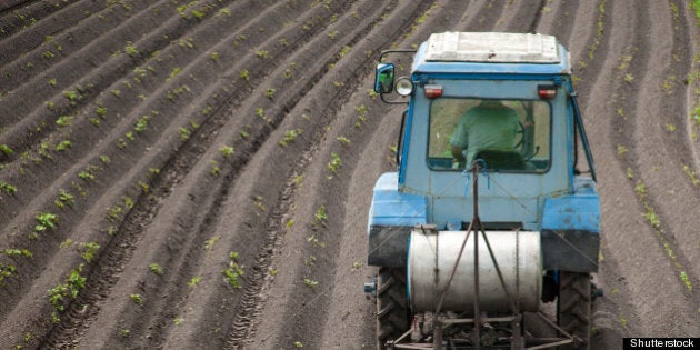 treatment of crops against weeds