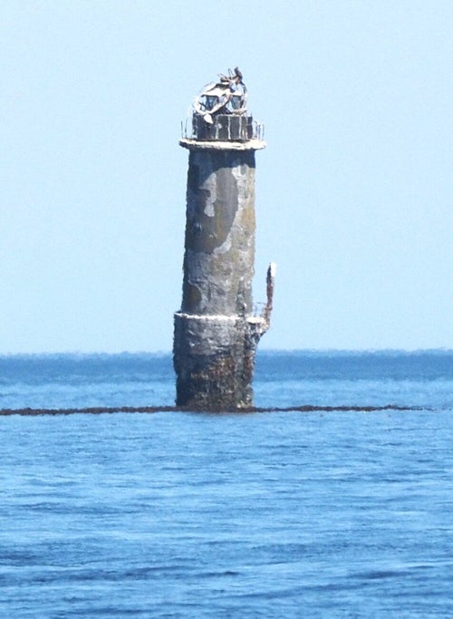 北方領土の貝殻島灯台は廃墟のようだった。ロシアが占拠する「幻の灯台