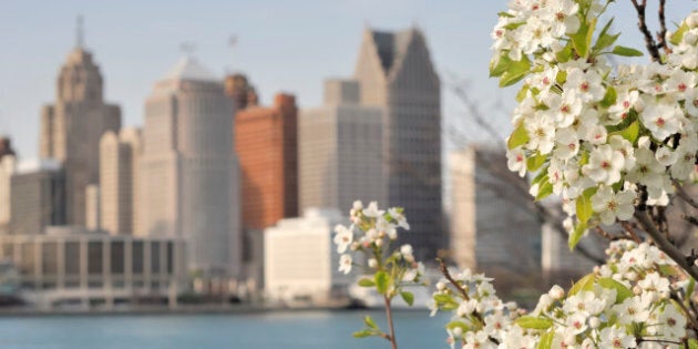 The Detroit Skyline with cherry blossoms in the foreground.