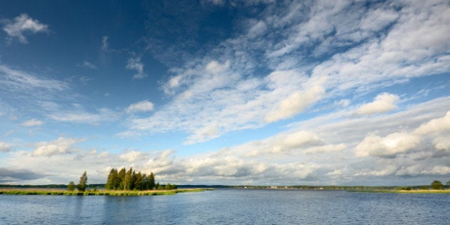 lake landscape in summer