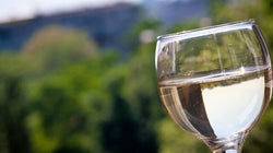 Participez aux vendanges dans les Cantons de