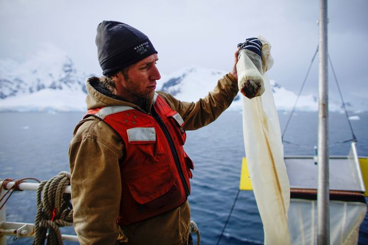Greenpeace found plastic and dangerous chemicals in more than a dozen samples in Antarctica in early 2018.