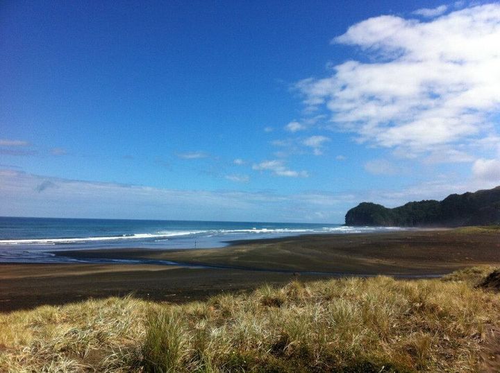 ニュージーランドのゴミ1つないビーチ