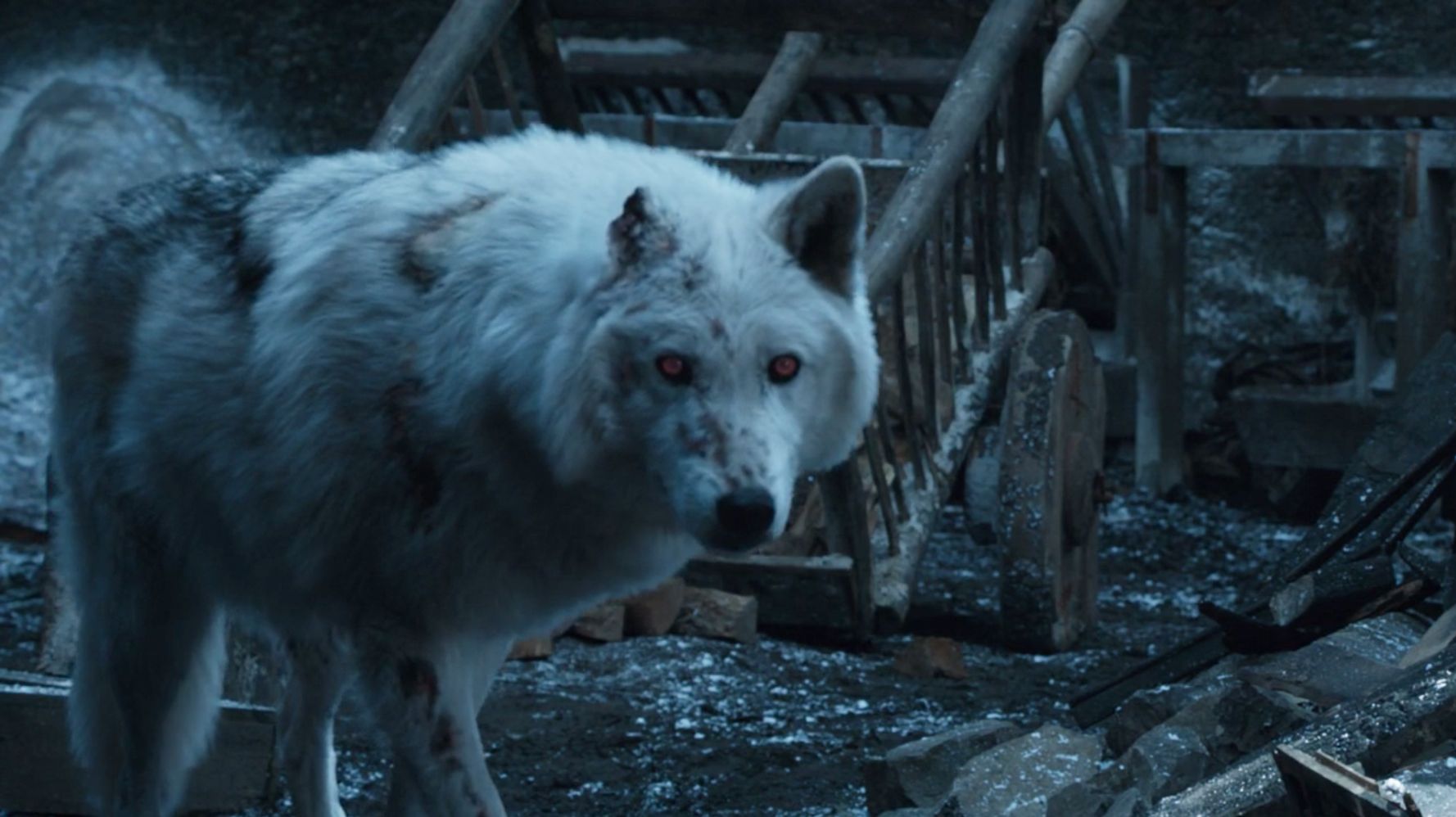 Here S Why Jon Snow Didn T Pet Ghost In His Game Of Thrones