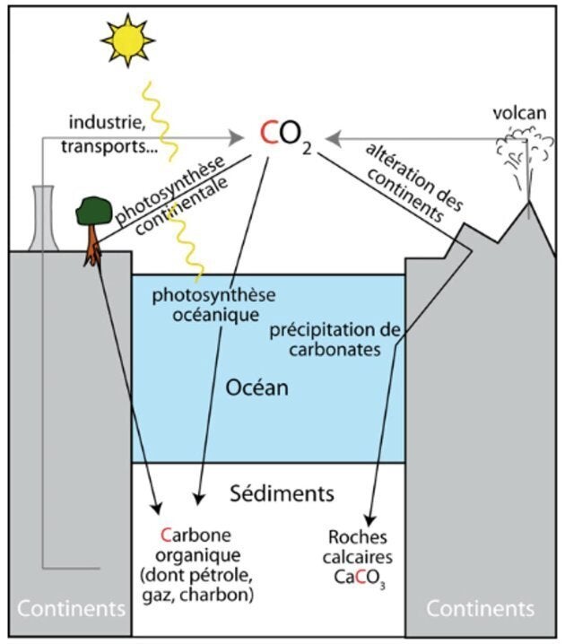 Cycle géologique simplifié du carbone. Les puits (noir) figurent la sédimentation de matière organique et le couplage altération-synthèse de carbonate. Ils s'opposent aux sources (gris): les volcans depuis plus de 4 milliards d'années et les activités humaines thermo-industrielles depuis 150 ans.