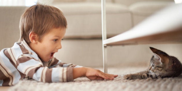 A little boy lying on his bedroom floor and playing with a kittenhttp://195.154.178.81/DATA/i_collage/pi/shoots/783344.jpg