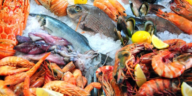 Variety of fresh seafood on ice